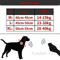 Collier de suivi GPS pour chien pour animal de compagnie